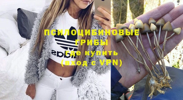 винт Алексин