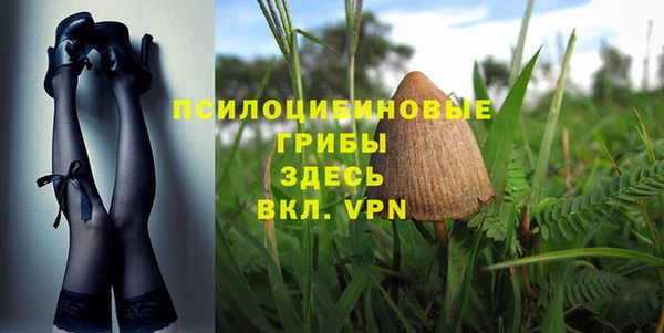круглые Алексеевка