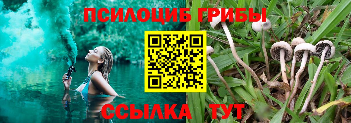 Галлюциногенные грибы Psilocybe  Вход с VPN  Петровск 